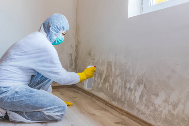 Licensed Commercial Mold Remediation service in Sharon, MA - 24 Hour Mold Removal