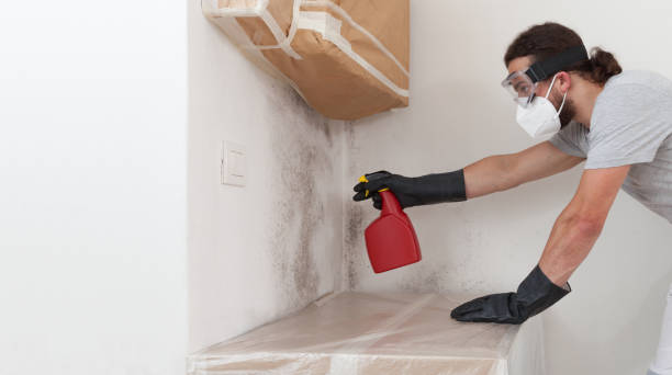 Professional Commercial Mold Remediation technician working in Sharon, MA