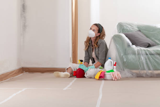 Reliable Commercial Mold Remediation contractor in Sharon, MA by 24 Hour Mold Removal